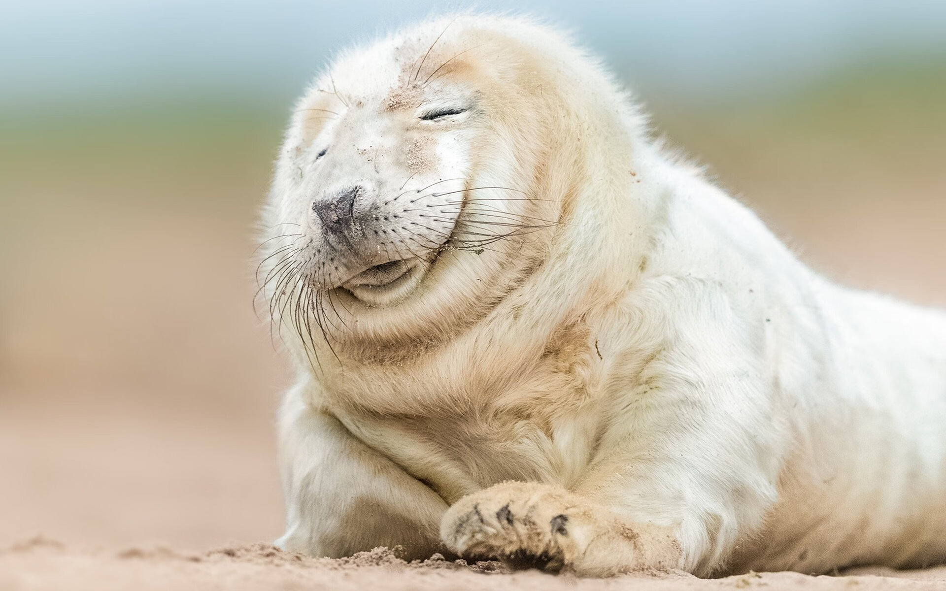 开云首页登录-巴黎签下一名欧洲闪耀新星，战力再升级，巴黎all  第1张