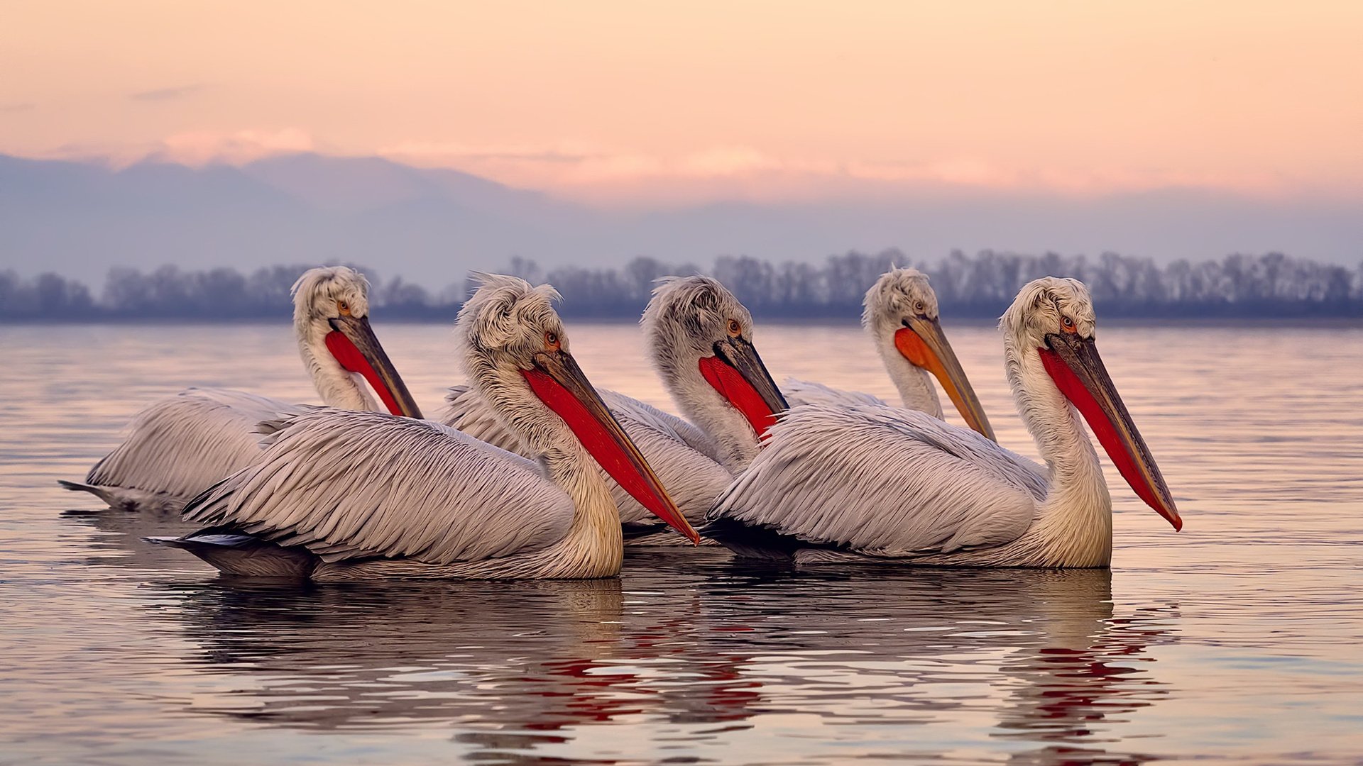 kaiyun体育app-_大赛专访：幕后故事揭示比赛的精彩与辛苦_，比赛幕后工作者