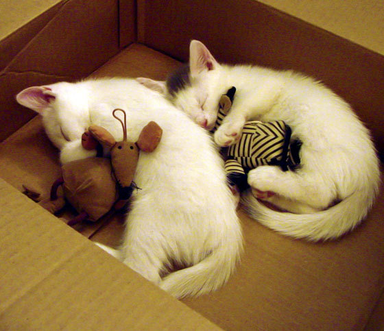 开云全站-“英超赛场：倒数第二轮比赛惊心动魄”，英超倒数第三有附加赛