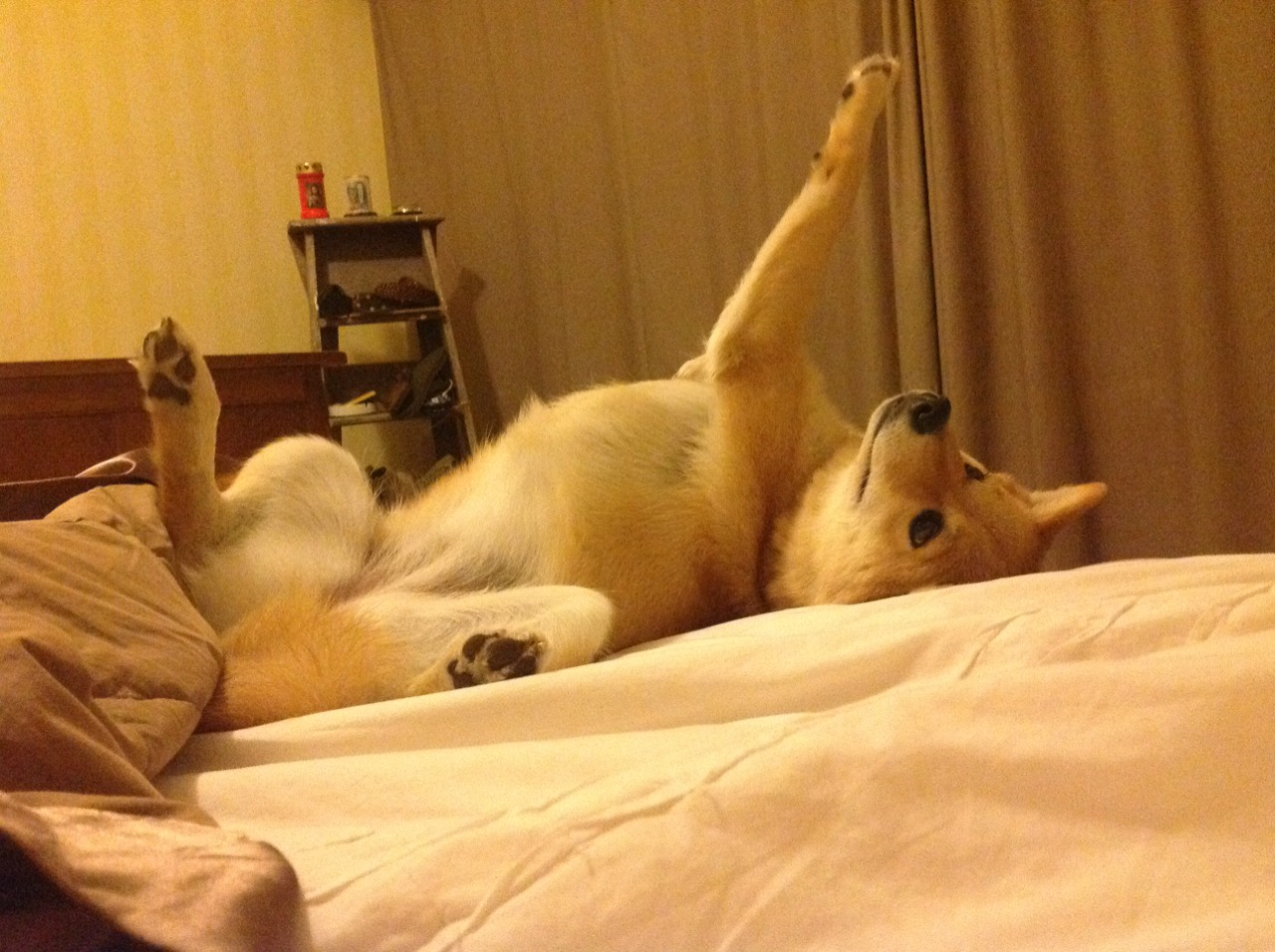 开云体育登入-“足球广告赞助合作不断增加，行业繁荣”，足球 广告