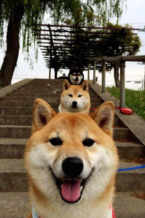 开云官网在线-今年NBA季后赛最令人瞠目结舌的逆转比赛集锦，今年nba季后赛最令人瞠目结舌的逆转比赛集锦