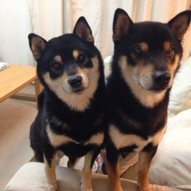 开云体育官方-传奇“中场指挥官”揭秘：他们的战术艺术，传奇中场全集