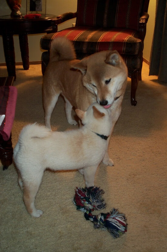 开云官网首页-史上“最疯狂”的快攻：速度与激情的极限演绎，速度与激情最快的人