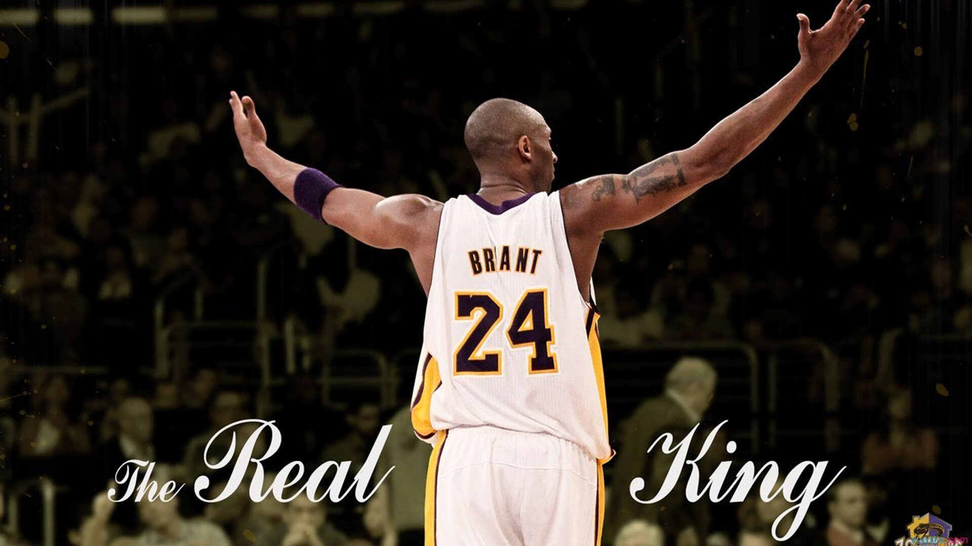 开云体育官方网站登陆-全黑队迅猛的进攻与压迫防守为其在比赛中创造了多次得分机会，全黑队战舞